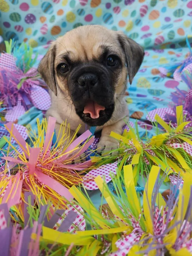 Cameroon thumbnail 4