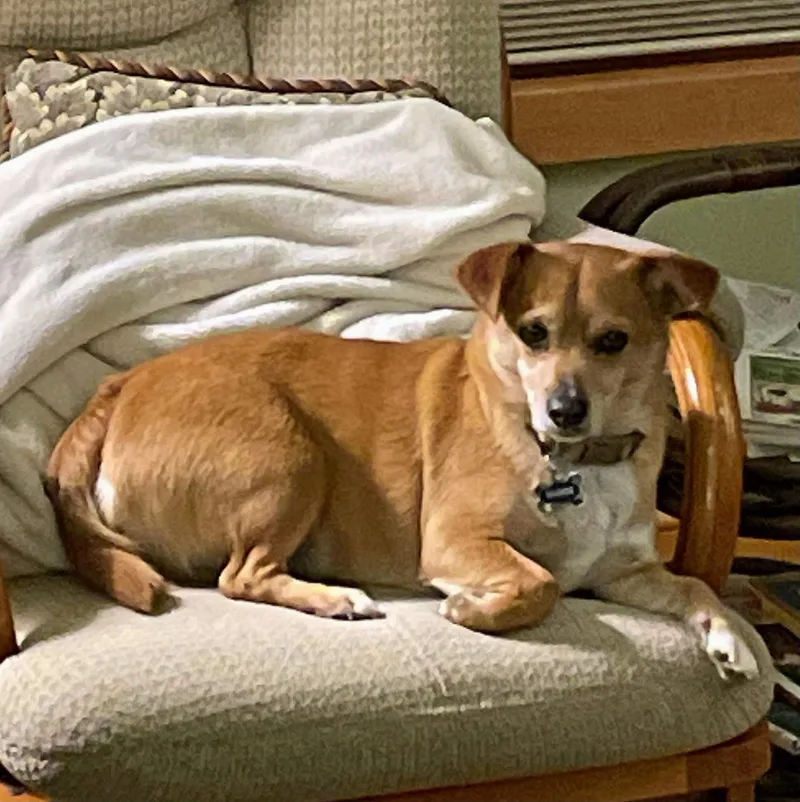 Maggie thumbnail 3