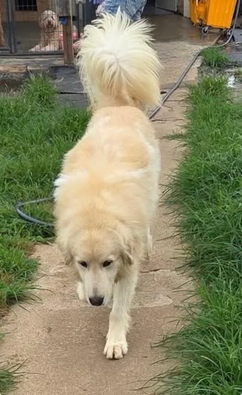 Milo