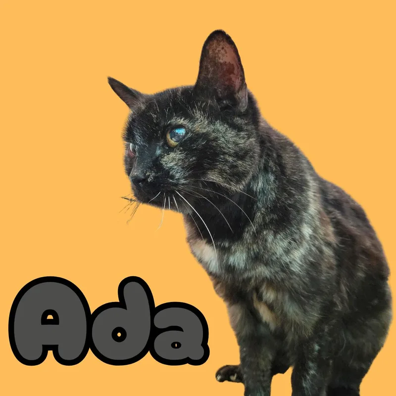 Ada