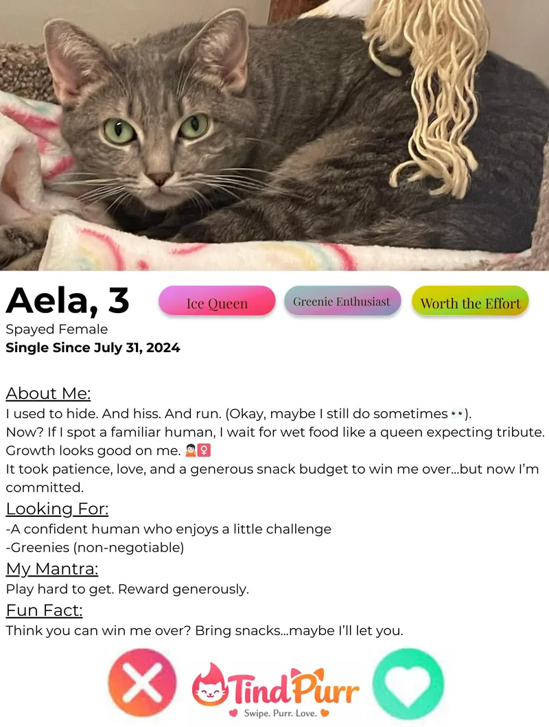 Aela thumbnail 3