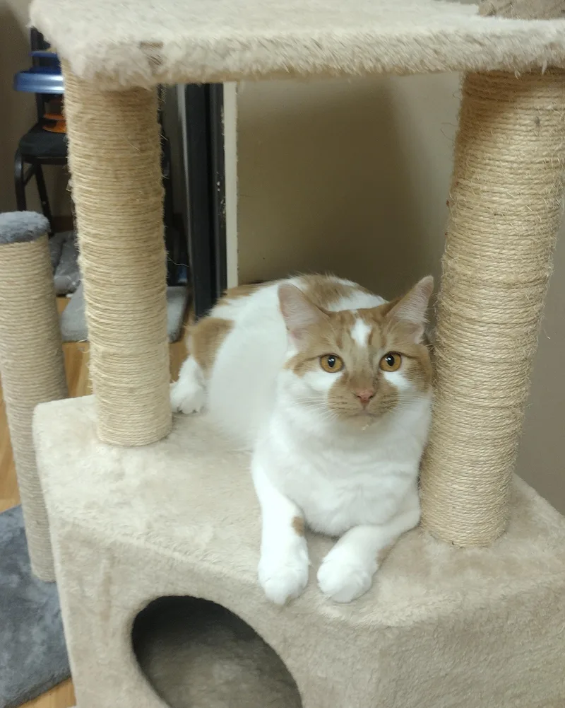 Colby thumbnail 2