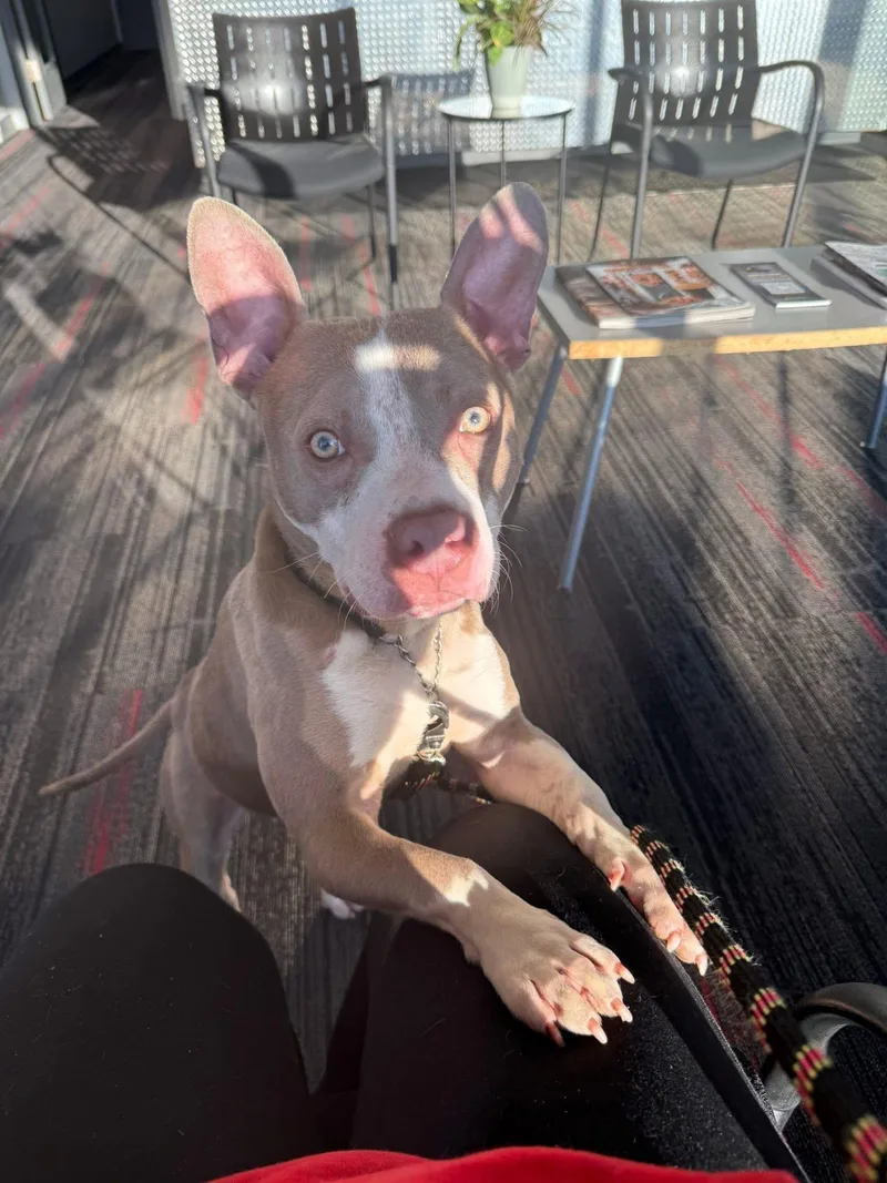 Ears Mcgee thumbnail 2