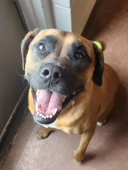 Emma Rose thumbnail 2