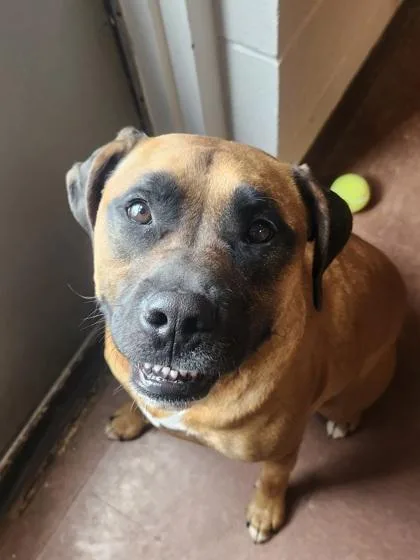 Emma Rose thumbnail 3