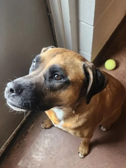 Emma Rose thumbnail 4