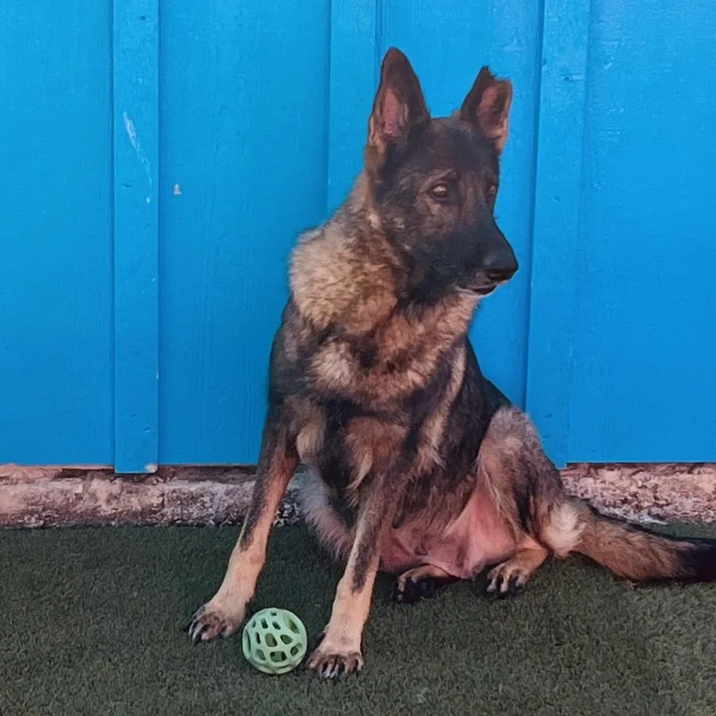 Mom Sammie thumbnail 2