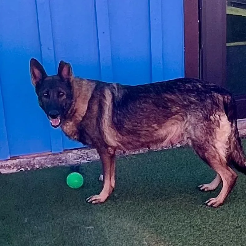 Mom Sammie thumbnail 4