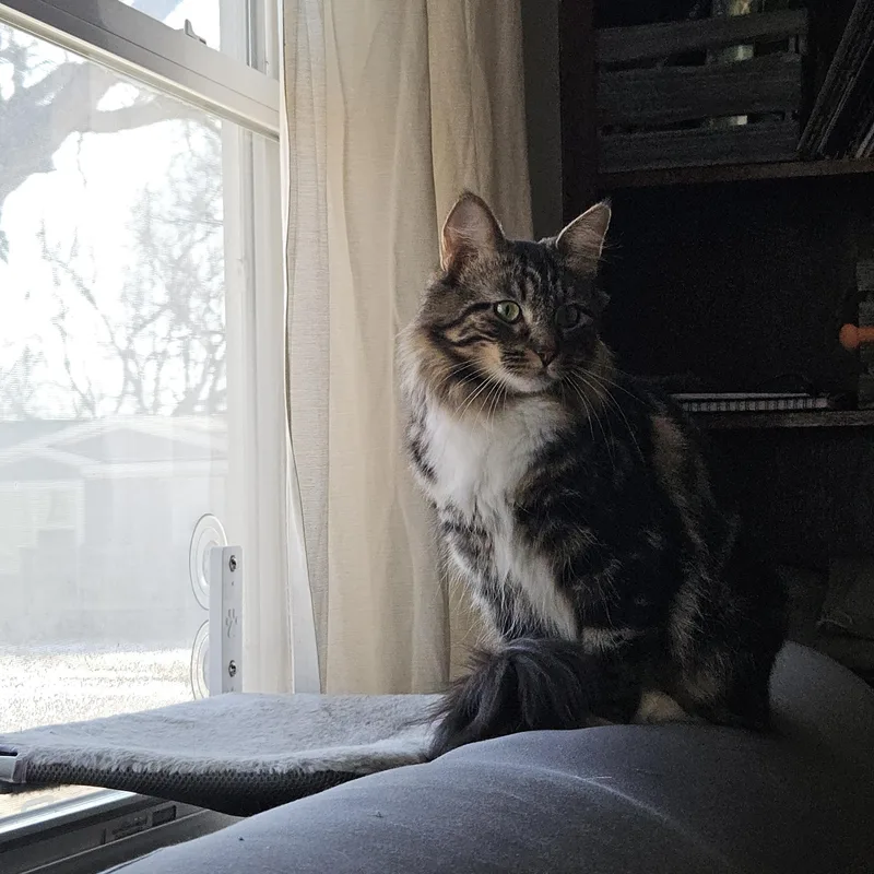 Mama Maroon thumbnail 2