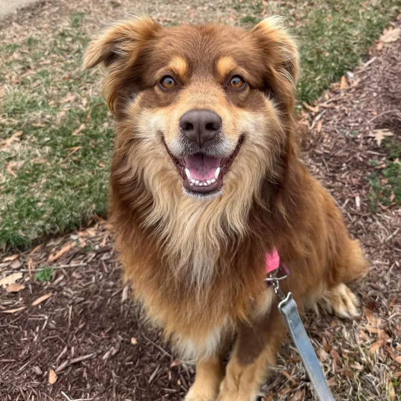 Maverick thumbnail 2