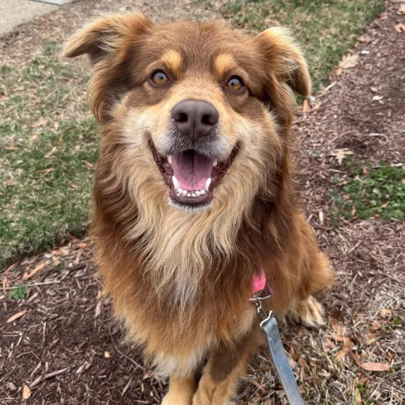 Maverick thumbnail 3