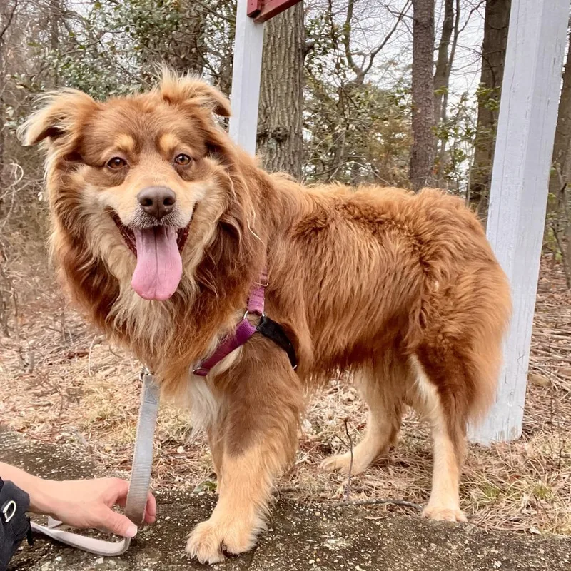 Maverick thumbnail 4