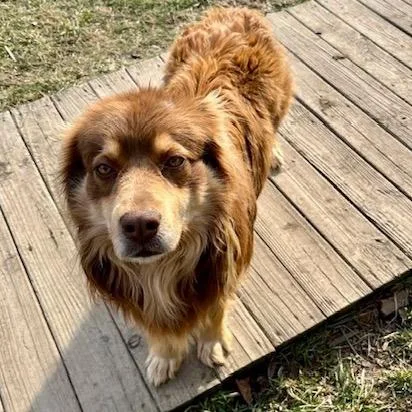 Maverick thumbnail 6