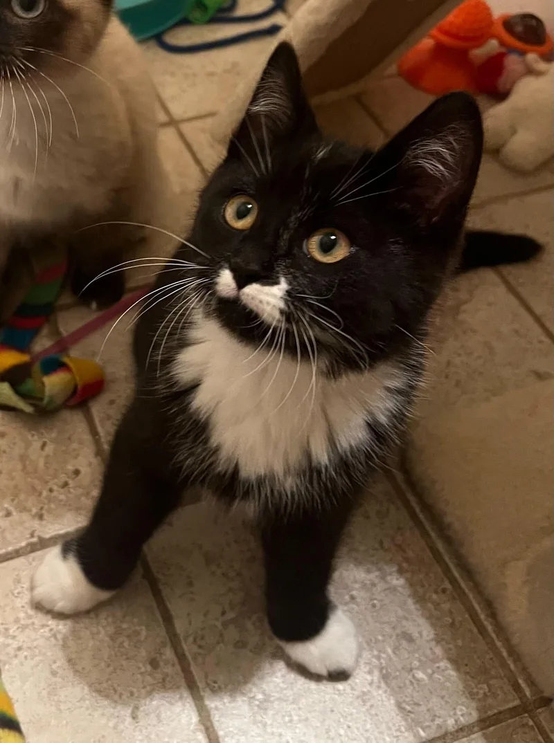 Bean And thumbnail 4