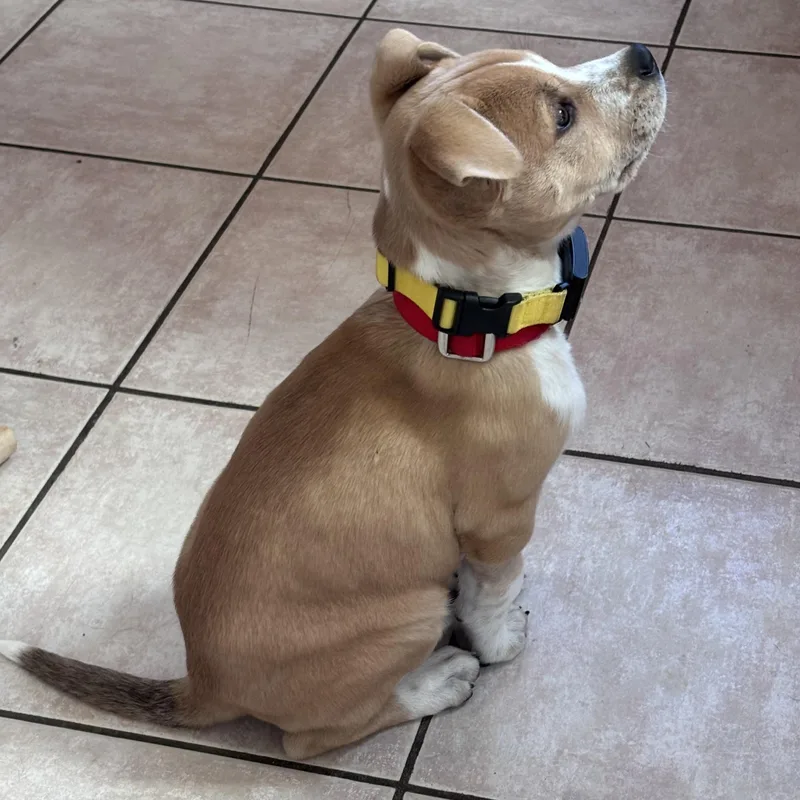 James Brown  Local thumbnail 3