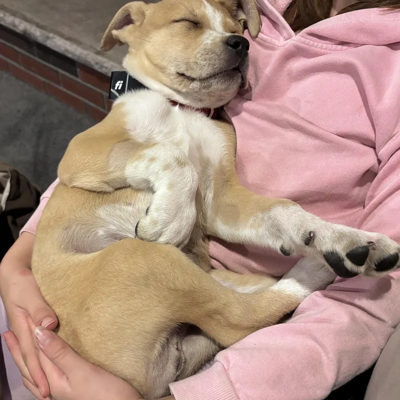 James Brown  Local thumbnail 5