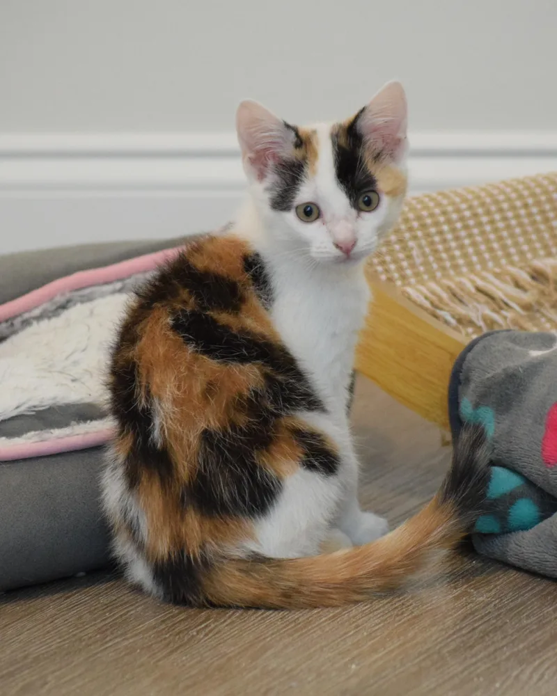 Trudy thumbnail 3