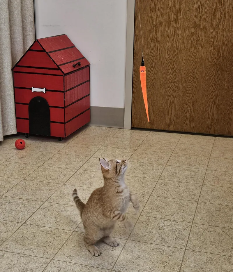 Timmy thumbnail 3