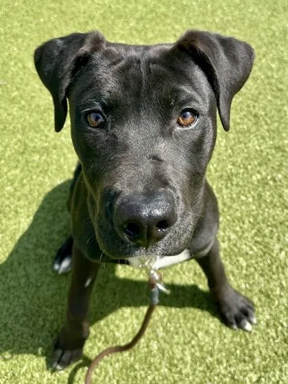 Really Cool Dance Song thumbnail 2