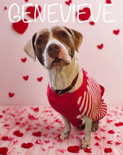 Genevieve thumbnail 2