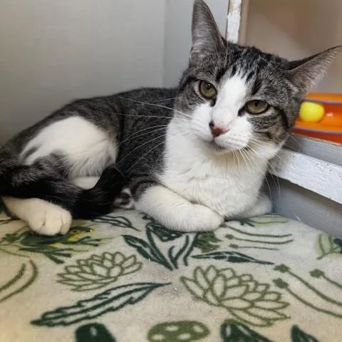 Emma Jane thumbnail 2