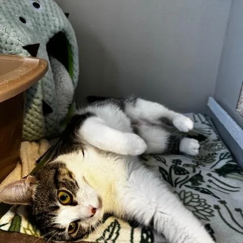 Emma Jane thumbnail 3