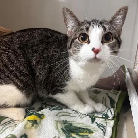 Emma Jane thumbnail 4