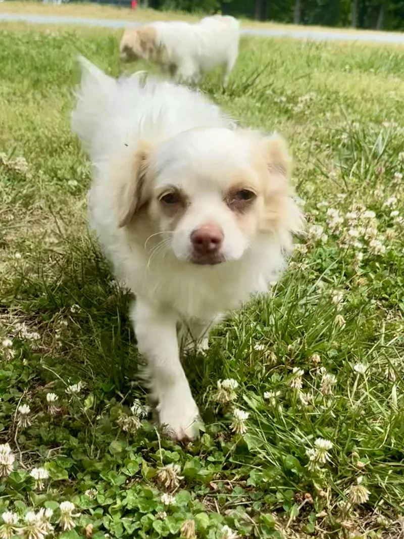 Heidi thumbnail 2