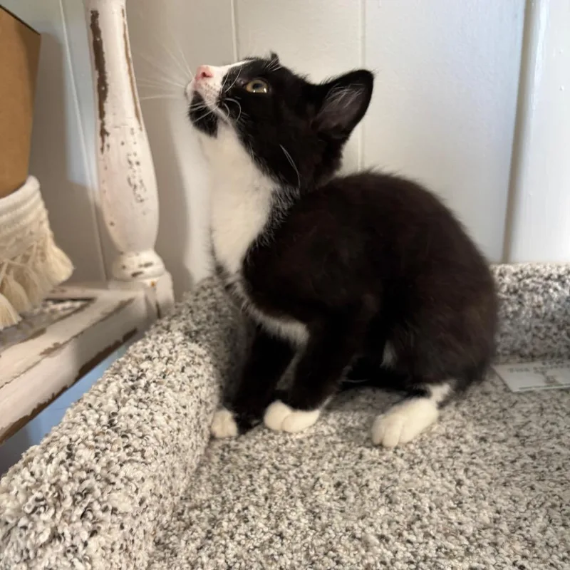 Jackpot thumbnail 4