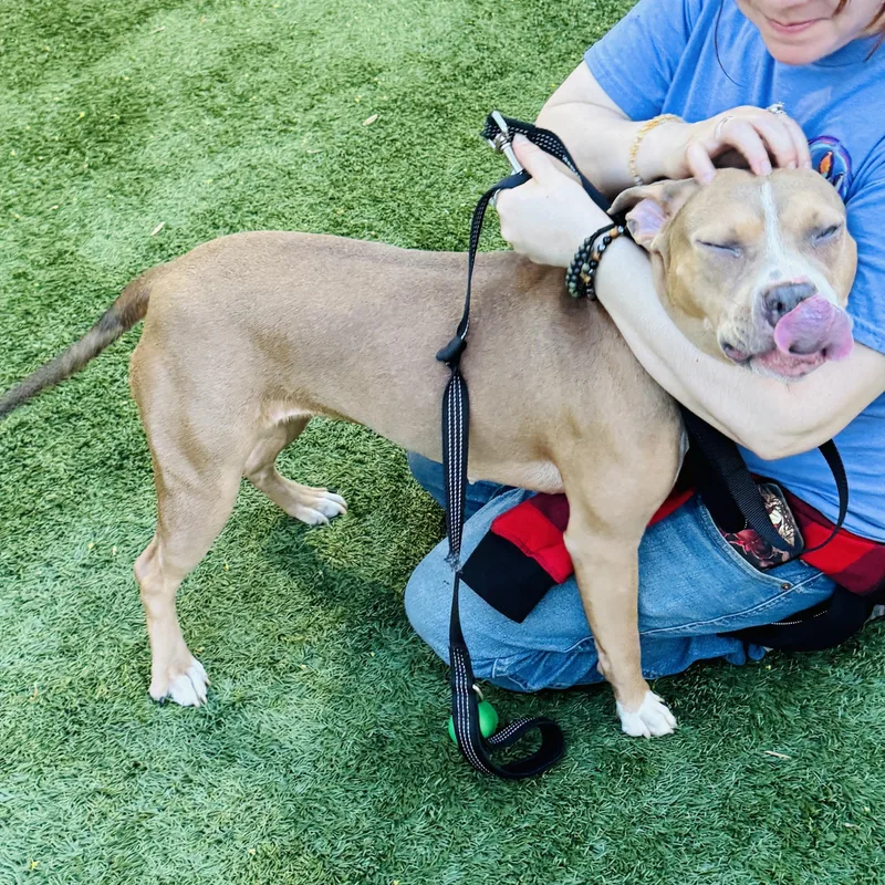 Meet Cocoa  Fun thumbnail 2