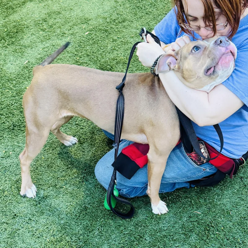 Meet Cocoa  Fun thumbnail 3