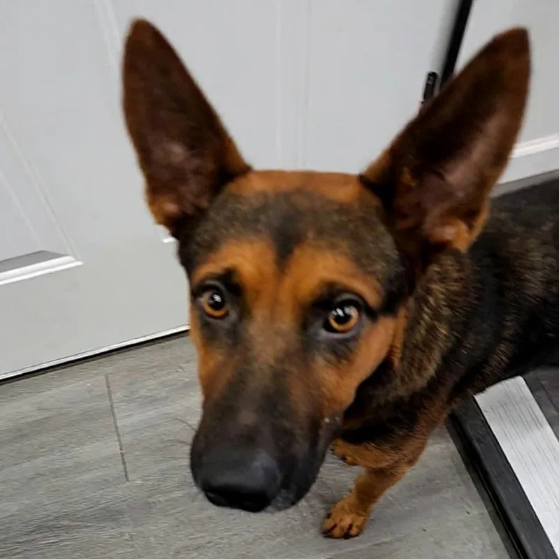 Ernie thumbnail 5