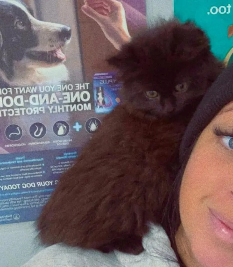 Casella & Scrappy thumbnail 4