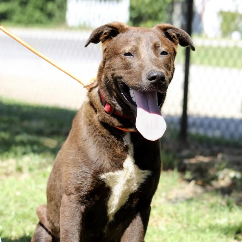 Bill Board thumbnail 5