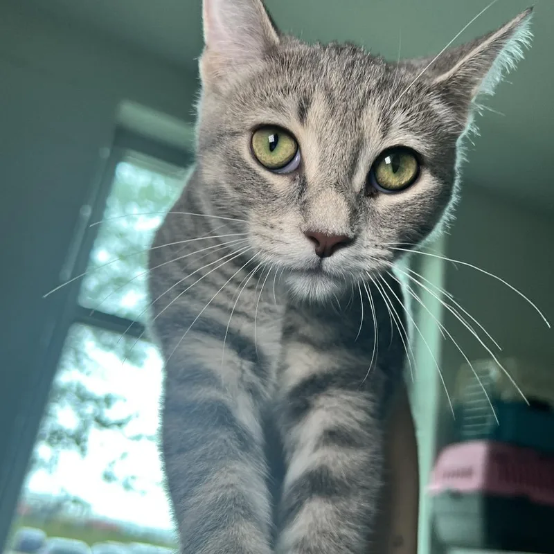 Chloe thumbnail 3
