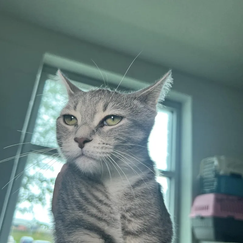 Chloe thumbnail 6