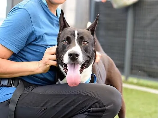 Jackie  Onyx thumbnail 2