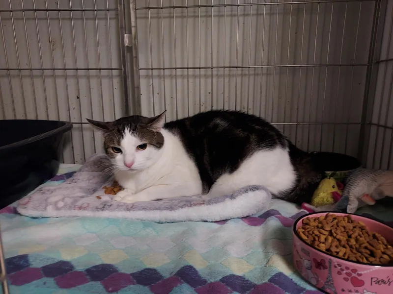 Reilly & Ricky At thumbnail 2