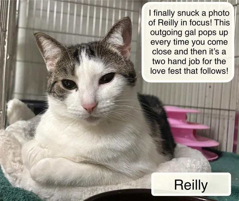 Reilly & Ricky At