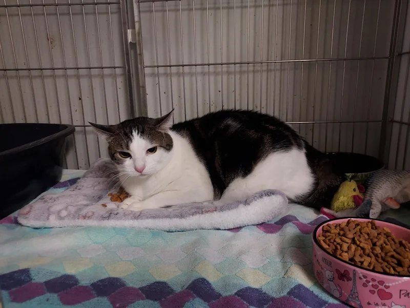 Reilly & Ricky At thumbnail 3