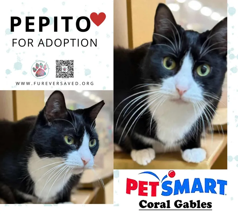 Mimi And Pepito ^^ thumbnail 2