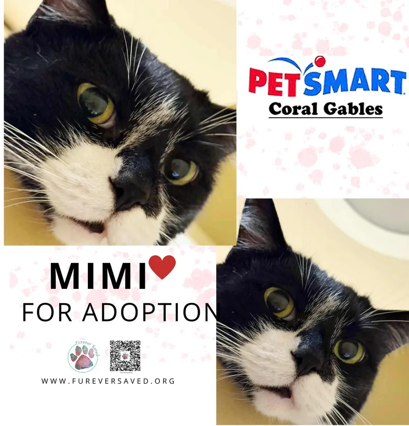 Mimi And Pepito ^^ thumbnail 4