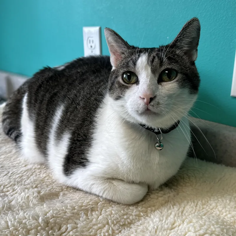 Mr. Cuddles thumbnail 2