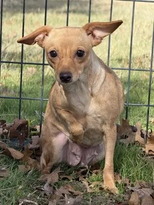 Portland thumbnail 3