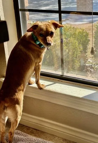 Portland thumbnail 4