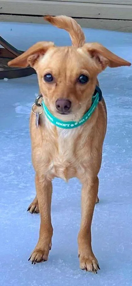 Portland thumbnail 5