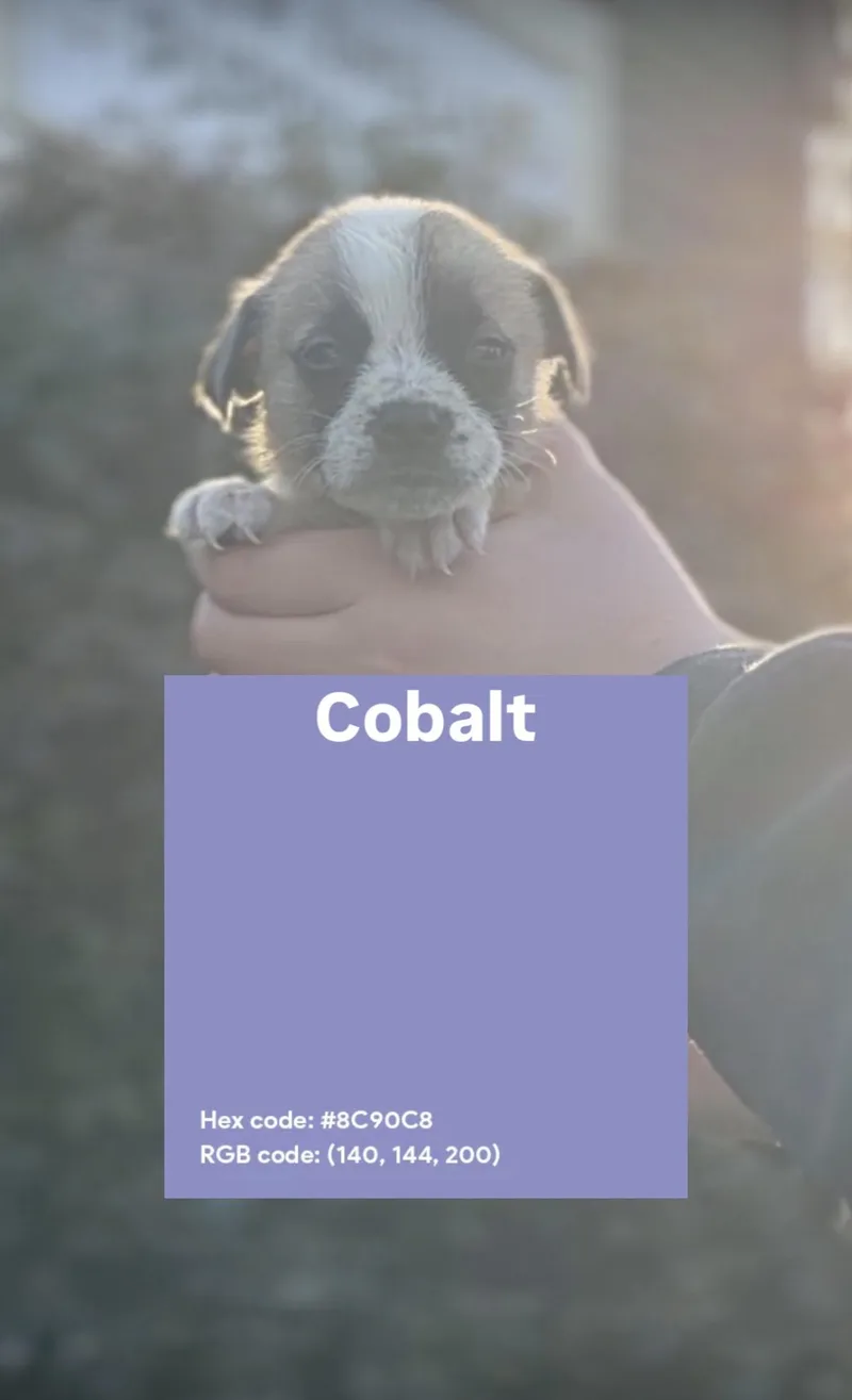 Cobalt