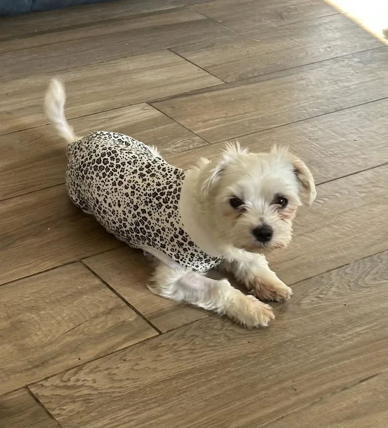 Lily Ann thumbnail 2
