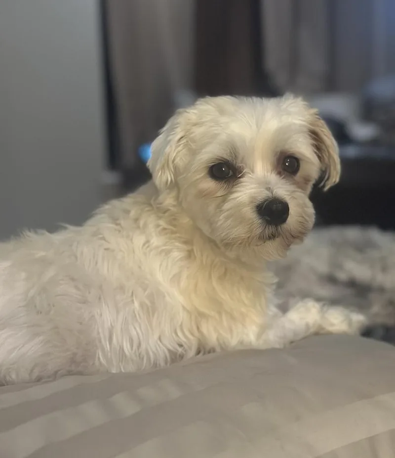 Lily Ann thumbnail 5