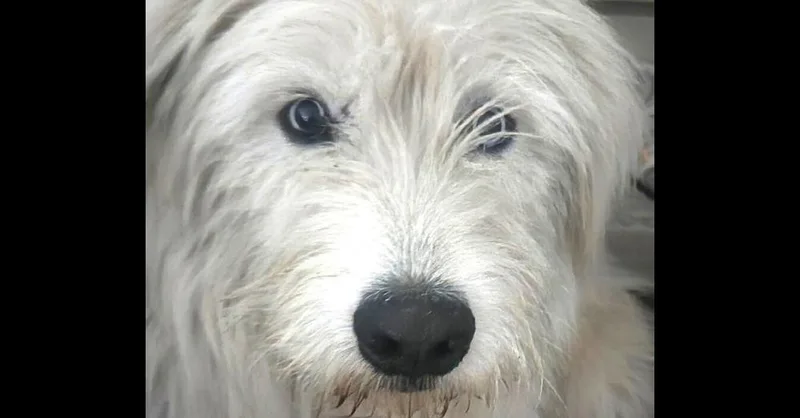 Marley